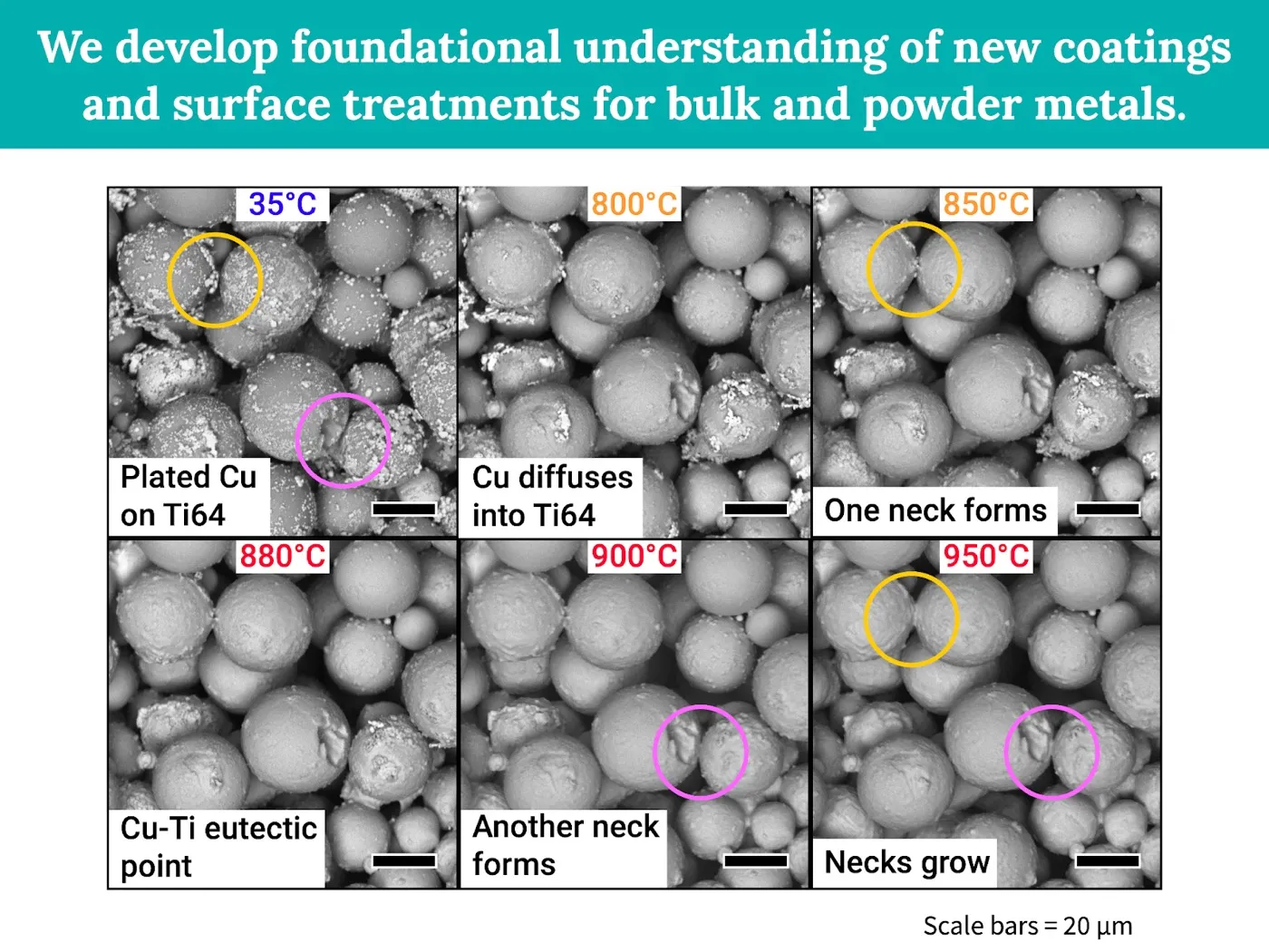 Scanning electron microscope image series showing copper-coated Ti-6Al-4V powder particles forming sintering necks as temperature increases from 35 to 950 degrees Celsius.