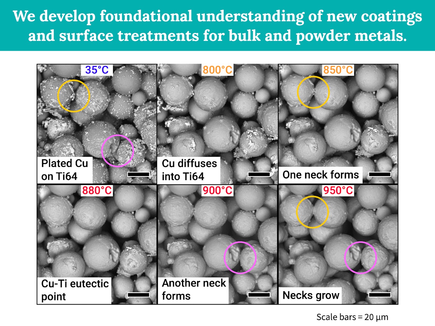 Scanning electron microscope image series showing copper-coated Ti-6Al-4V powder particles forming sintering necks as temperature increases from 35 to 950 degrees Celsius.